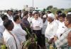 शेतपिकांच्या नुकसानीचे तातडीने पंचनामे करून अहवाल सादर करावा ; पालकमंत्री गिरीश महाजन नांदगाव तालुक्यात विविध ठिकाणी पिकांची पाहणी करून शेतकऱ्यांशी साधला संवाद